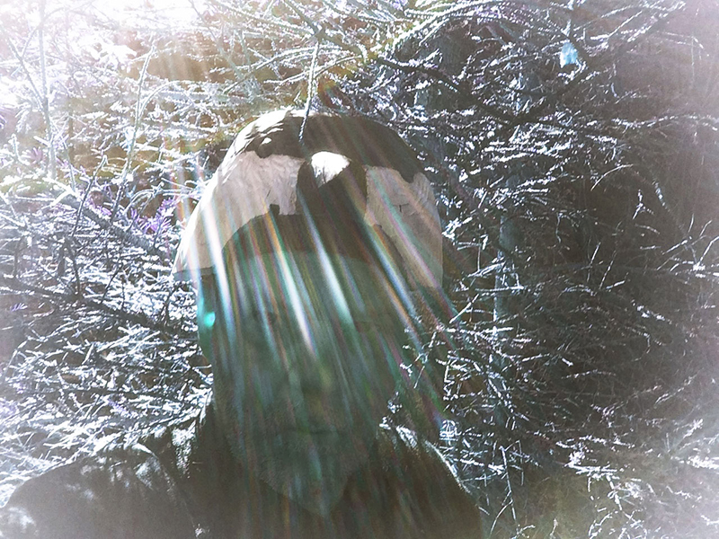 T&scaron;&auml; T&scaron;&auml; T&scaron;ii - T&scaron;ii - T&scaron;ii