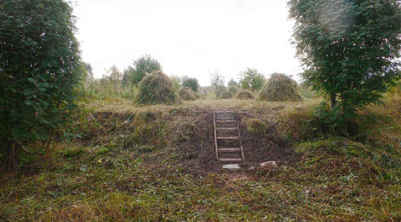 Hauen paluu Pietarissa